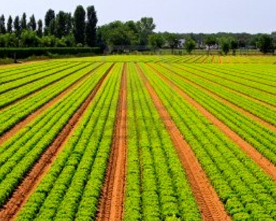 Corteva apresenta expansão da gama de produtos naturais e investe mais de 130 milhões de euros em unidade de produção