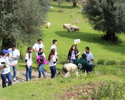 Cotesi promove o contacto com o ambiente profissional aliado à hortifruticultura do Algarve