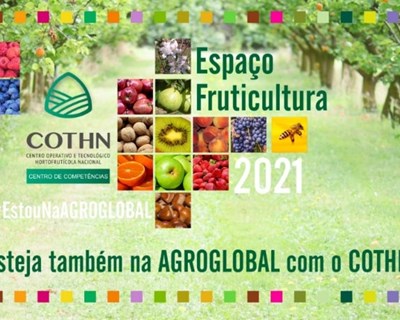 COTHN dinamiza Espaço Fruticultura na Agroglobal 2021
