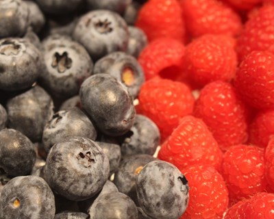 COTHN disponibiliza mais informações sobre o VI Colóquio Nacional da Produção de Pequenos Frutos