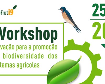 COTHN realiza workshop sobre inovação para a promoção da biodiversidade dos sistemas agrícolas