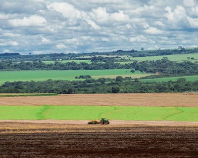 Covid-19: Novas medidas excecionais do Ministério da Agricultura