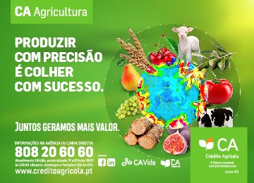 Crédito Agrícola apoia modernização da produção e internacionalização do setor agrícola