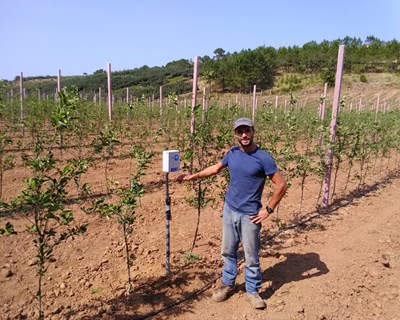Cristovão Ferreira é o vencedor do Prémio de Melhor Jovem Agricultor