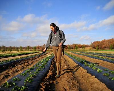 Curso prático "Candidaturas ao PDR – Jovens Agricultores" em Braga