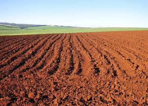 Dependência de subsídios estrangula agricultura portuguesa