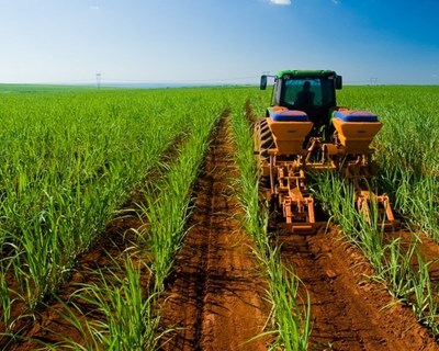 DGAV atualiza medidas de higiene especiais a observar nos trabalhos agrícolas