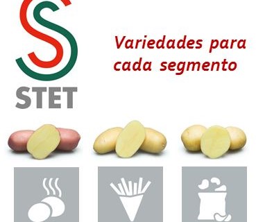 Dias de portas abertas "STET Potato Days" na Holanda