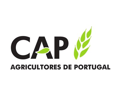 Mértola acolheu Conselho Consultivo do Baixo Alentejo e Algarve