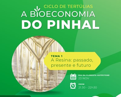 Disponível online a gravação do primeiro Ciclo de Tertúlias “A Bioeconomia do Pinhal”