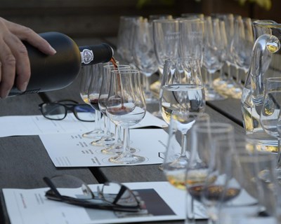 Douro & Porto Wine Festival: Falta um mês para o maior festival de vinhos do país