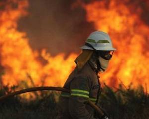 Douro Superior “desiludido” com apoio para os prejuízos causados pelo incêndio de julho