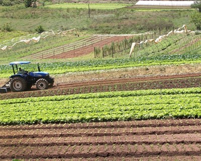 DRAP Algarve e GNR empenhados em fiscalizar Reserva Agrícola Nacional