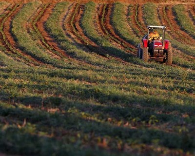 É na agricultura que há maior crescimento de empresas