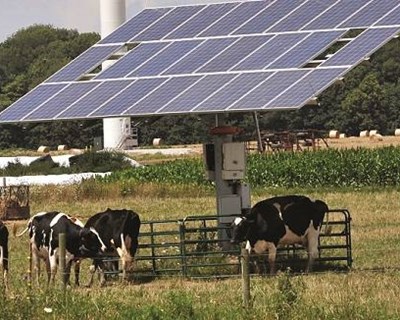 “Eletricidade na Agricultura: como reduzir a fatura?”