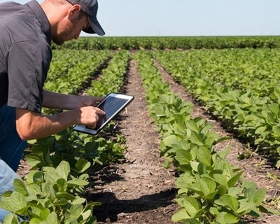 Elvas acolhe III Jornadas de campo do projeto ISOMap Forragens amanhã