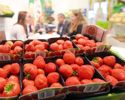 Em fevereiro de 2019 há Fruit Logistica