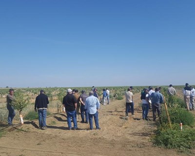 Empresários portugueses visitam agricultura da Califórnia a convite da Magos Irrigation Systems
