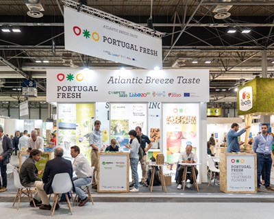 Empresas de frutas e legumes portugueses procuram negócios com valor acrescentado em Berlim