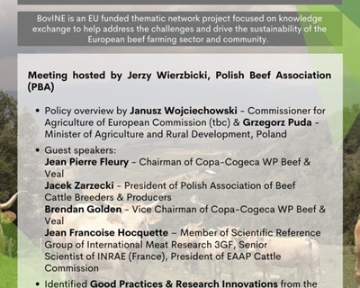 Encontro transnacional do BovINE para a indústria europeia de carne de bovino