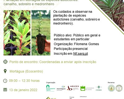 ESAC e Município de Mortágua promovem plantação de espécies autóctones
