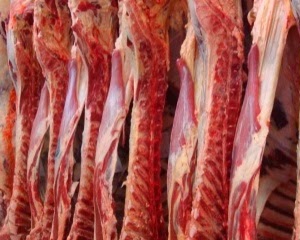 Espanha: Produção de Carne de Bovino volta a descer