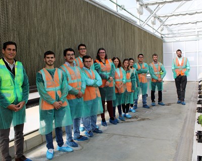 Estudantes vencedores das 24H Agricultura Syngenta visitam fábrica e centro de investigação de sementes de girassol da Syngenta