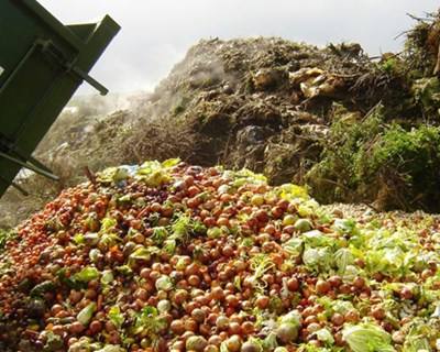 Eurodeputados defendem limites para a quantidade de desperdício alimentar