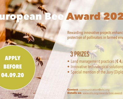 European Bee Award com inscrições prolongadas até dia 11 de setembro