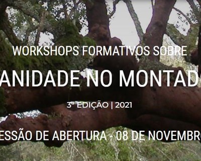 Évora recebe workshops sobre sanidade no montado