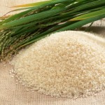 Exportação de arroz do Vietname a subir cerca de 10 por cento