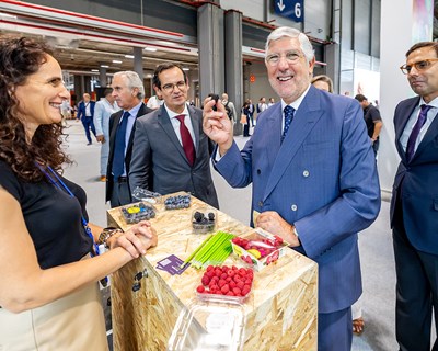 Exportações de frutas, legumes e flores aceleram 10% até setembro