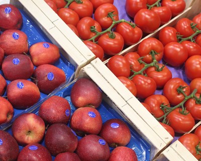 Exportações de frutas, legumes e flores mostram dinamismo no primeiro trimestre e crescem 10%