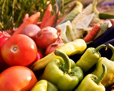 Exportações de frutas, legumes e flores sobem 23% até junho
