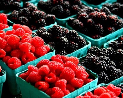 Exportações de pequenos frutos batem recorde e atingem 247 milhões de euros em 2020