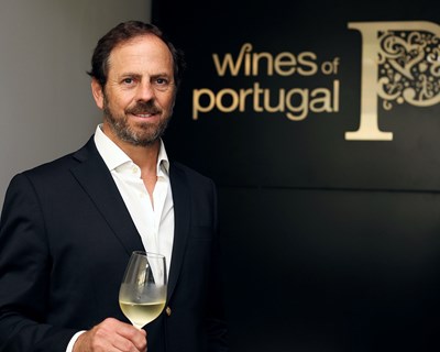 Exportações de vinhos portugueses atingem os 447,6 milhões de euros no 1º semestre de 2023