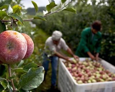 Exportações do Distrito de Leiria chegam perto dos €52 milhões