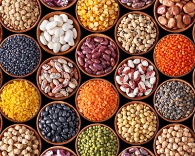 FAO: 2016 será o Ano Internacional dos Legumes