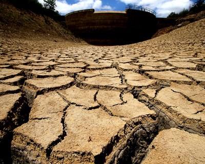 Alterações Climáticas: FAO apela ao Esforço Coletivo