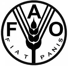 FAO disponibiliza ebooks sobre alimentação, agricultura e combate à fome