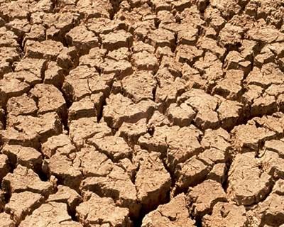 FAO lança sistema espacial para detetar zonas de seca