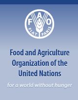 FAO: Preços dos alimentos em 2013 permanecem altos e estabilizados