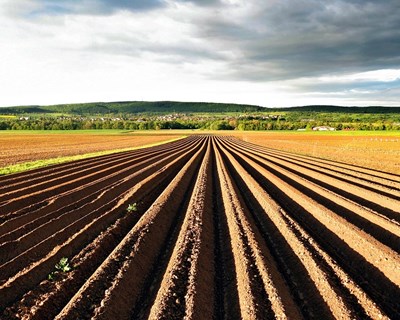 Feira Agrícola de Gaia no final de maio