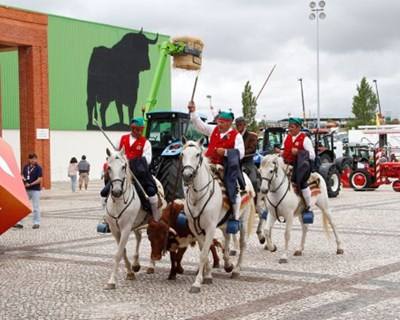 Feira Nacional de Agricultura espera receber 200.000 visitantes