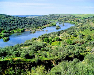 FENAREG preocupada com acesso equitativo à água nos rios Tejo e Guadiana