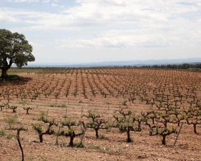 FENAREG propõe medidas de mitigação dos efeitos seca na agricultura