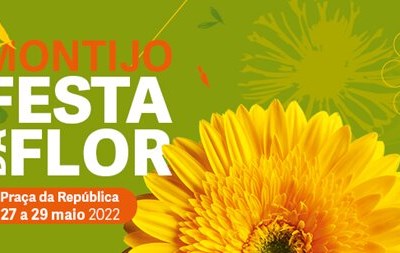 Festa da Flor de regresso ao Montijo