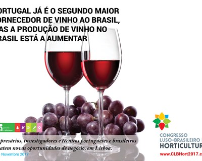 Fileira da vinha e do vinho em debate no I Congresso Luso-Brasileiro de Horticultura