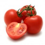 Fileira do tomate recupera seguro de colheita específico com cobertura alargada