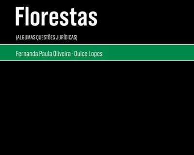 “Florestas”: um guia que reúne os principais diplomas legais em matéria de florestas